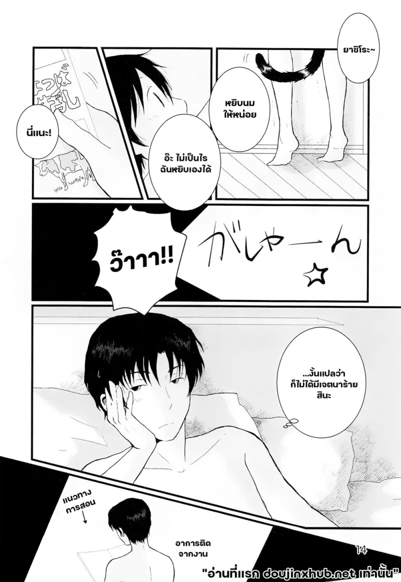 โดจิน ขนแมวกลิ่นควัน